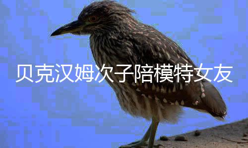 吗特女友购有意思陪模贝克汉姆物 维多次子利亚